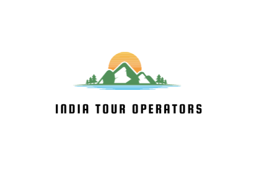 india tour operator