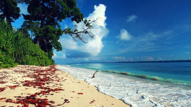 havelock-island-andaman.jpg