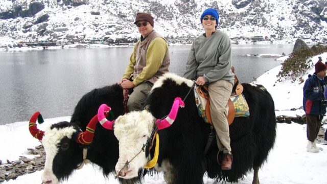 yak-rides-at-tsomgo-lake.jpg