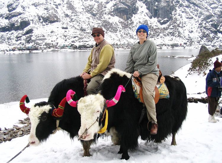 yak-rides-at-tsomgo-lake.jpg