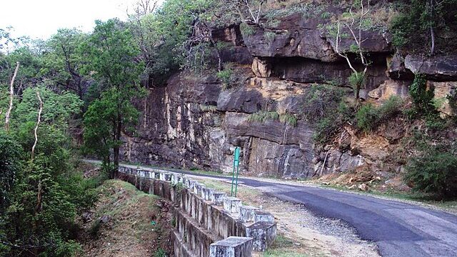 Idukki Wildlife Sanctuary3