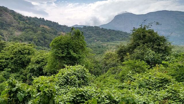 Kovai_Kutralam