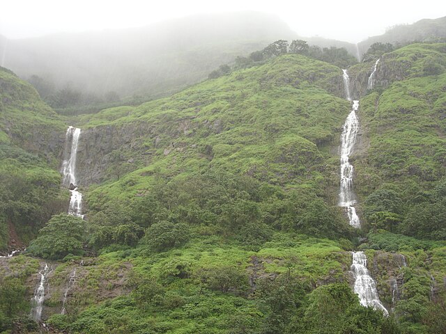 Tamhini_ghat_in_rainy_season_37