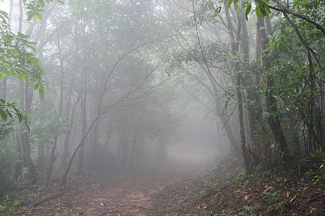 Nokrek National Park