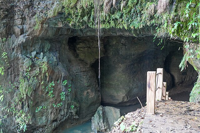 Siju Caves
