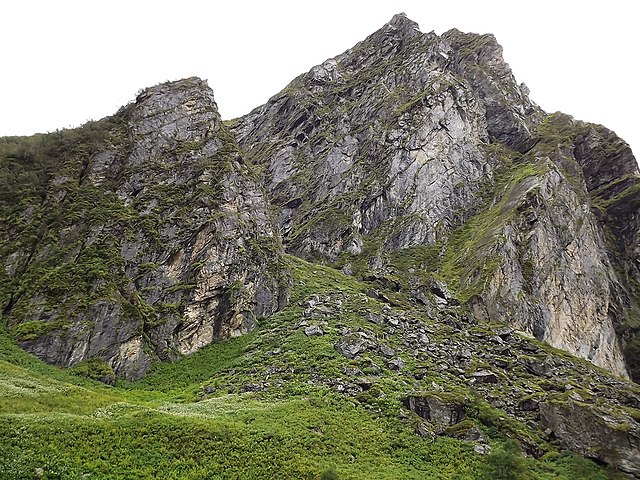 Valley of Flowers