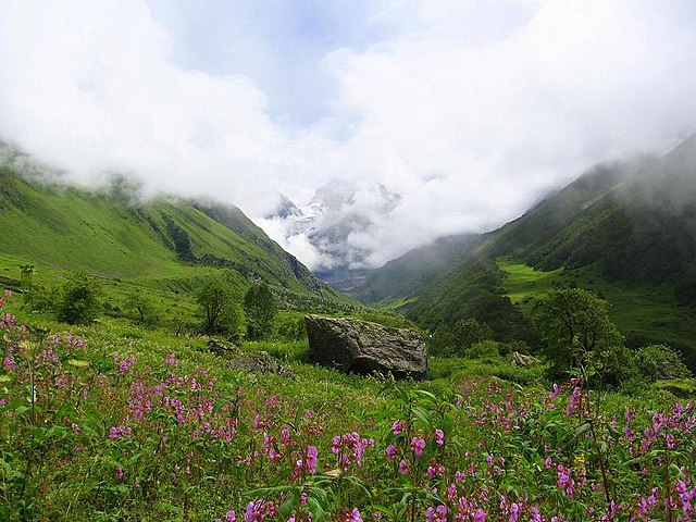 Valley of Flowers